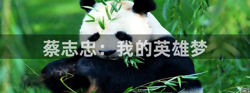 51动漫电视版：蔡志忠：我的英雄梦