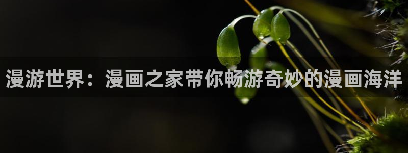 小熊维尼51动漫：漫游世界：漫画之家带你畅游奇妙的漫画海洋