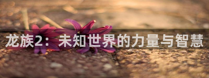 51漫画官方入门网破解版下载：龙族2：未知世界的力量与智慧