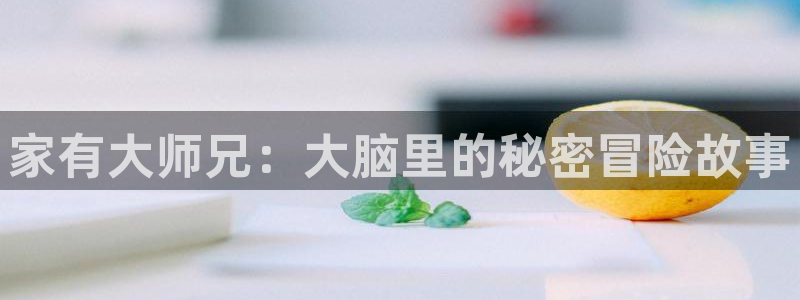 51动漫露营后宫：家有大师兄：大脑里的秘密冒险故事